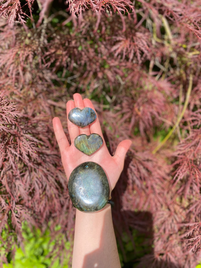 Spectrolite Hearts & Palm Stone | Crystal Set of 3