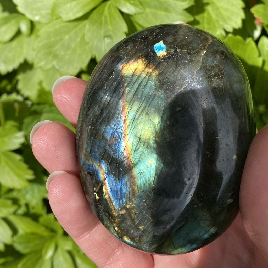 Spectrolite Hearts & Palm Stone | Crystal Set of 3
